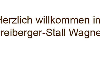 Erlebnisnachmittag im Reitstall Wagner