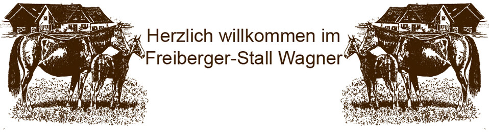 Erlebnisnachmittag im Reitstall Wagner